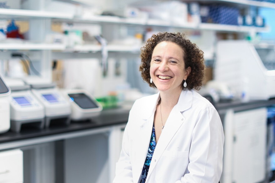 Dr. Ilhem Messaoudi