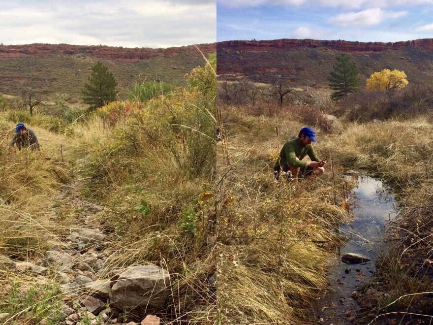 In the fall of 2017, left, Stream Tracker volunteer John Hammond found this creek near Fort Collins, Colo., to be dry. A year later, it was flowing again.