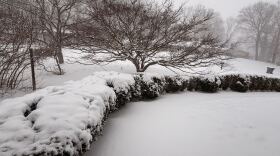 Snow falls in a forested area during winter storm on January 31, 2026.
