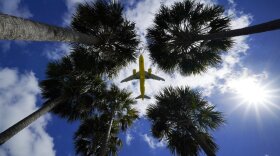 Plane in the air with palm trees in the foreground