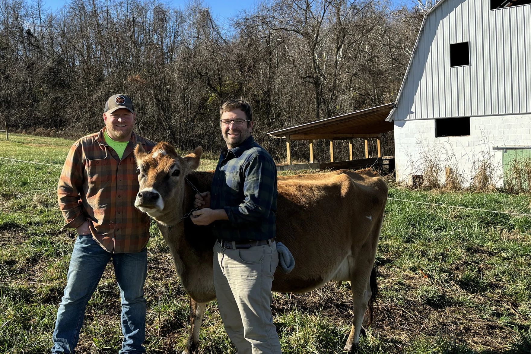 Small scale dairy farming is a labor of love