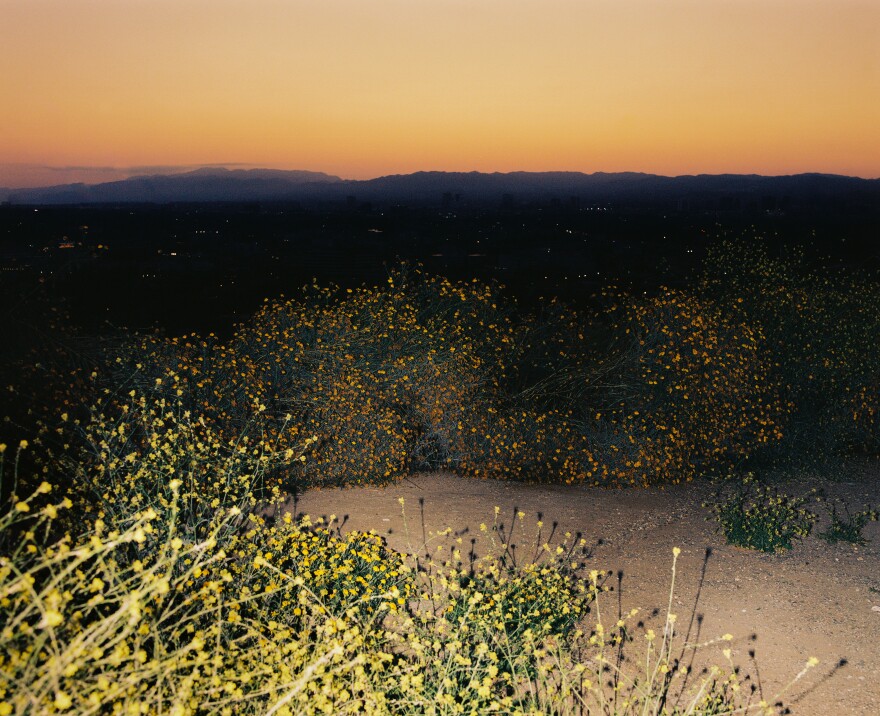 The Baldwin Hills Scenic Overlook offers a somewhat private space to hang out.