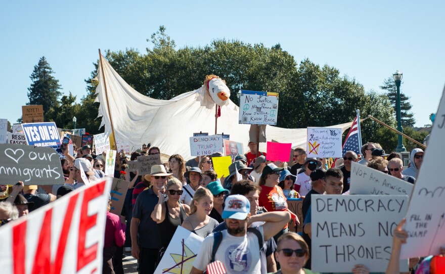 Five of the giant puppets at the march were created by artists through Indivisible Santa Cruz.