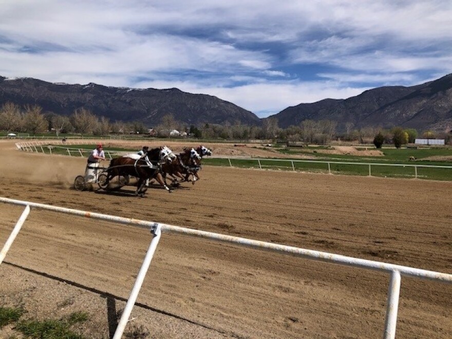 Chariot racing on a track in Utah