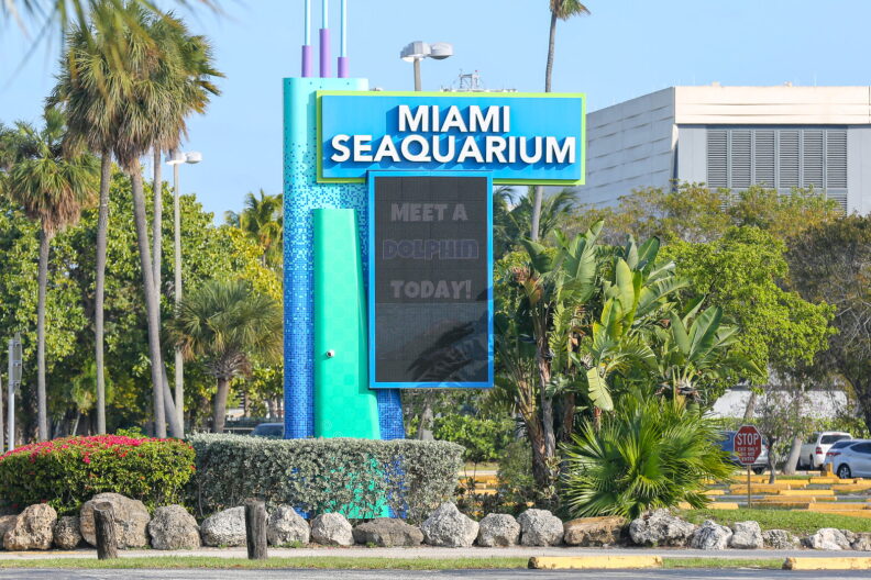 Miami Resident Threatens Legal Action Over Seaquarium Redevelopment
