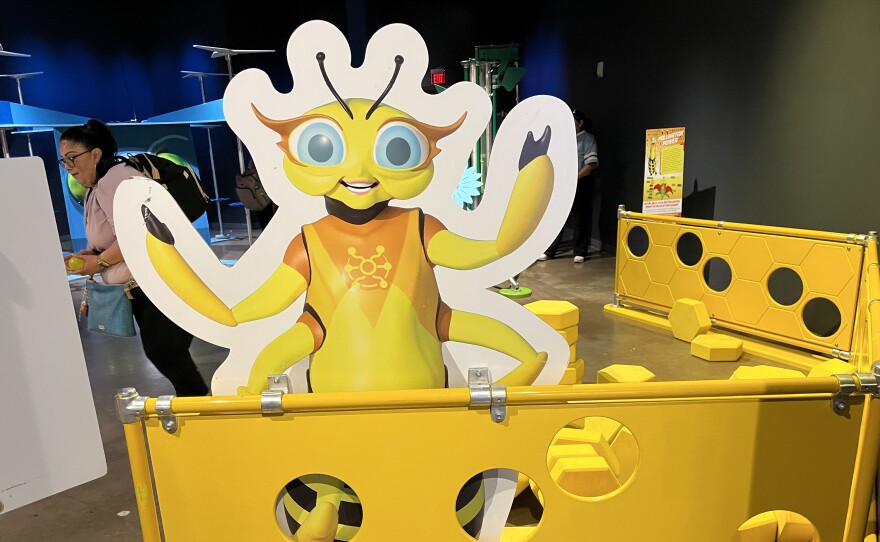 from Doseum's Bug exhibition