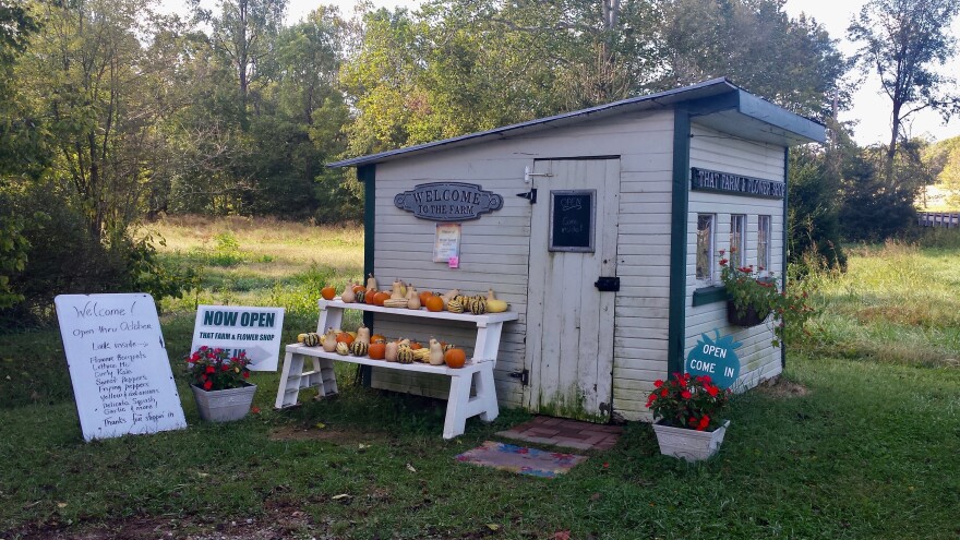 That Girl's Flowers and That Guy's Farm are located in  in Blanchester, just north of Cincinnati in Clinton County.