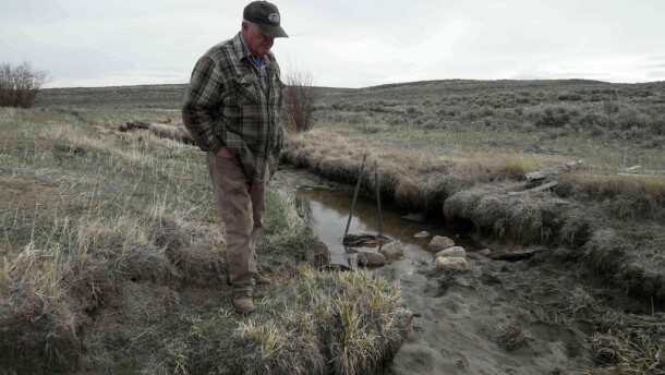 A man stands on the bank of a muddy creek.