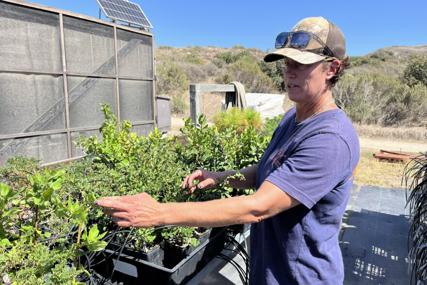 Restoration ecologist Michelle Gados at Santa Rosa Island’s native plant nursery.