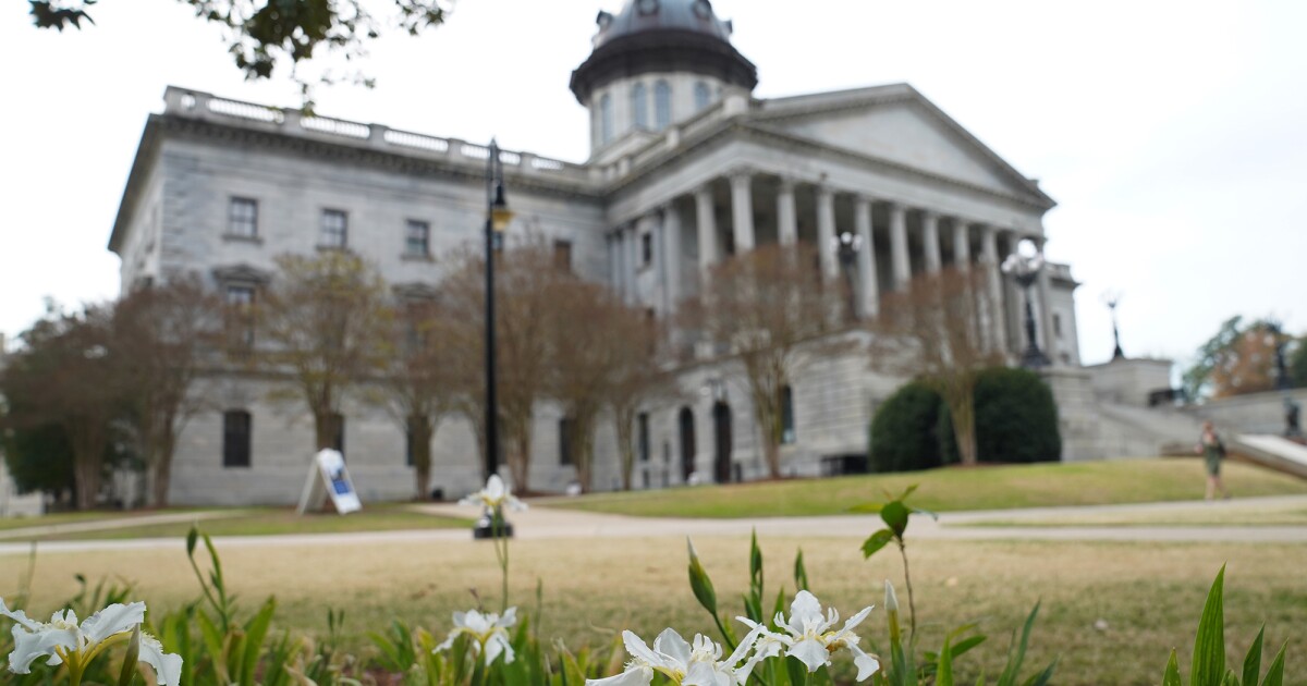 The State House Gavel: SC Senate's hemp drink debate opens up possible can of gummy worms