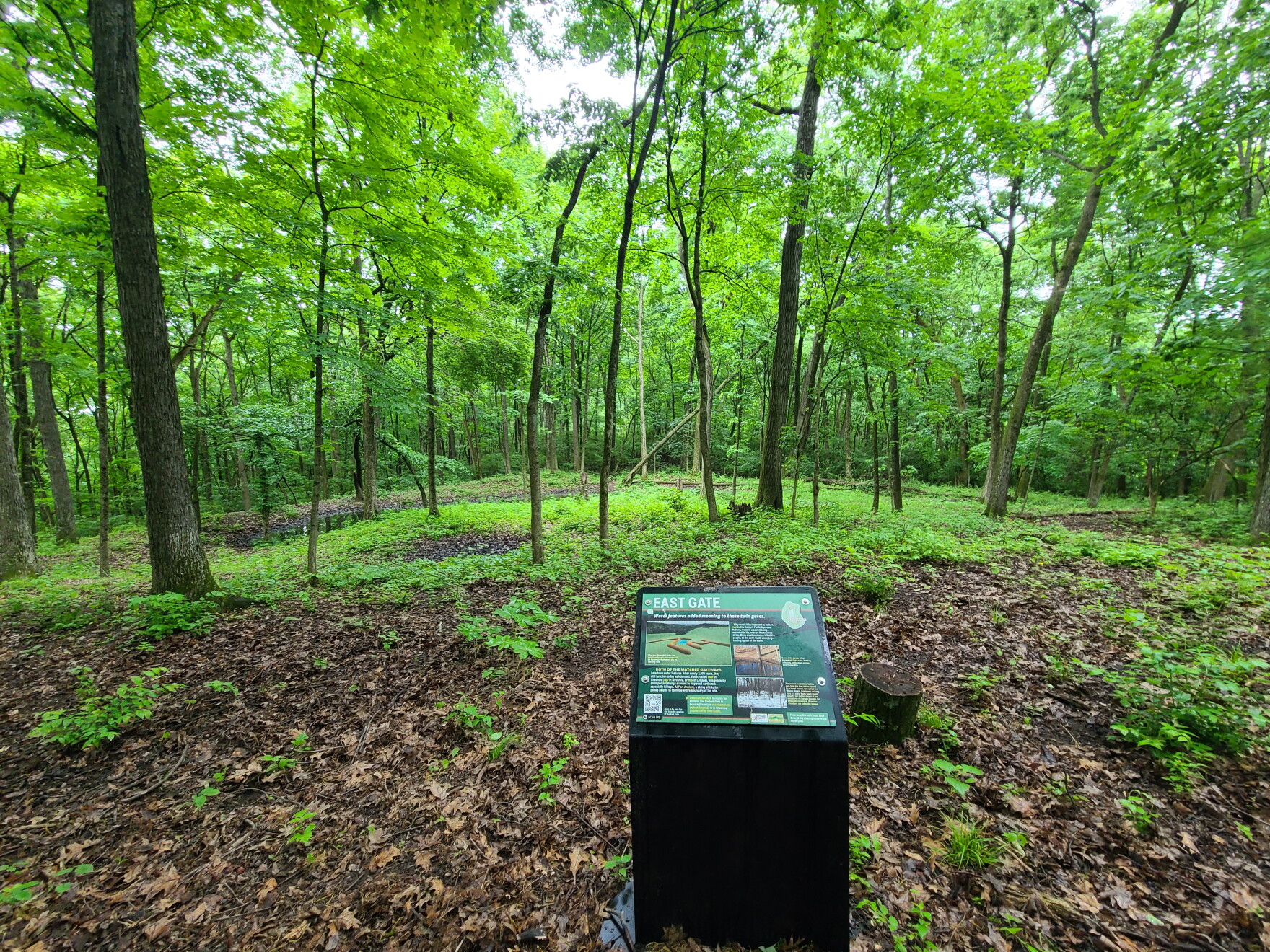 Pyramid Method Earthwork Pyramid Hill to offer tours of 2,000-year-old Hopewell earthwork | WVXU