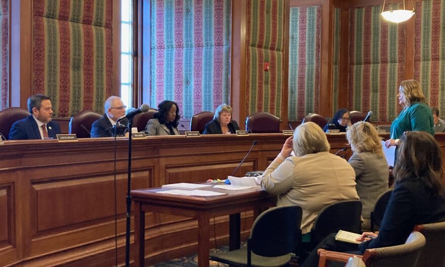 Missouri Department of Mental Health Director Valerie Huhn testifies Wednesday before the Senate Appropriations Committee.