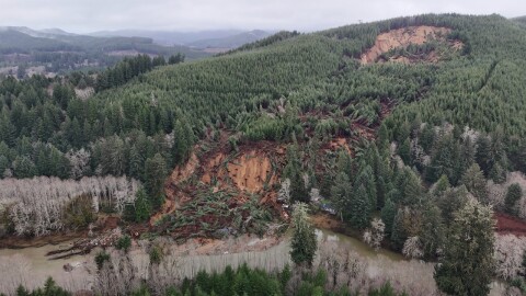 A drone photo of a landslide