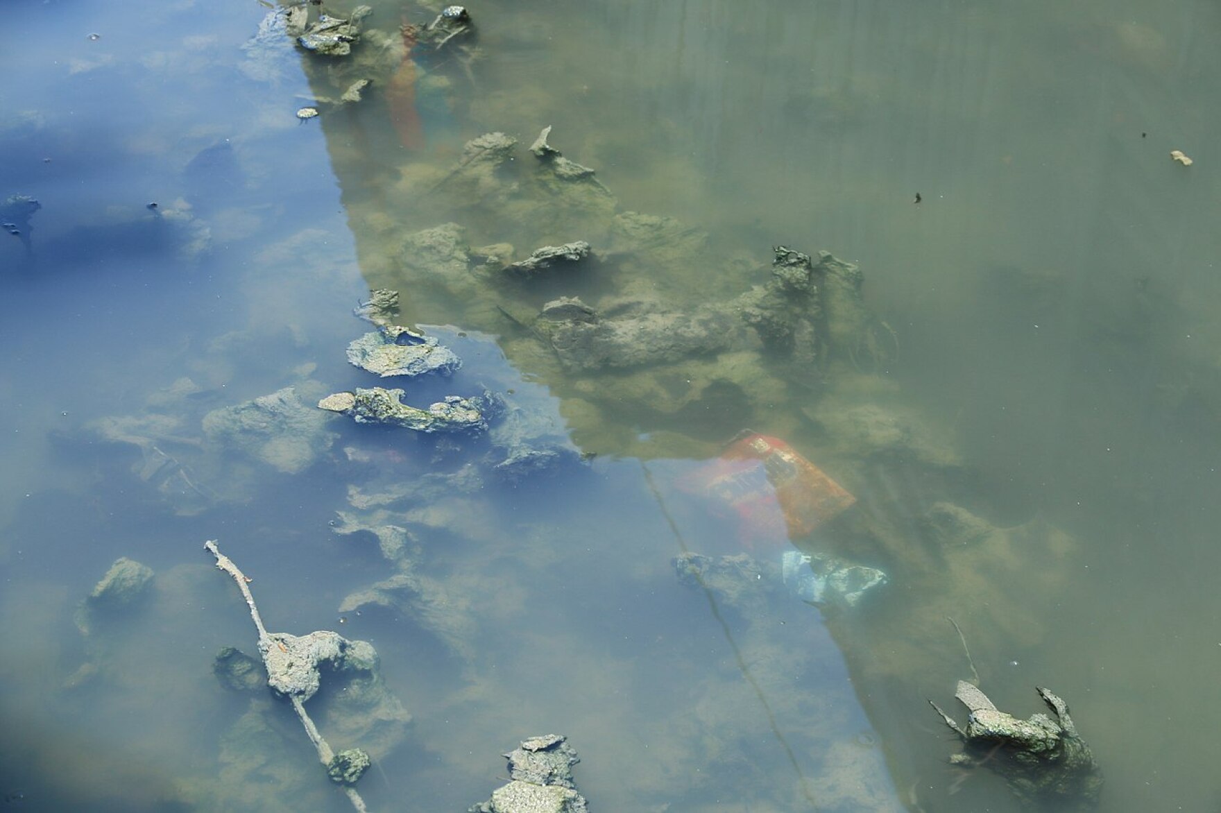 Chronic water pollution found in Honolulu, Kāneʻohe, and Haleʻiwa