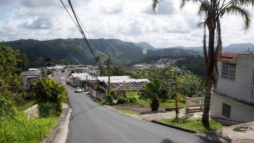 Six months after Hurricane Maria, electric lines still hang haphazardly along the streets of the small town of Botijas, about an hour inland from San Juan. Down the road, Dalma Cartagena teaches elementary school children how to compost, plant and harvest crops.