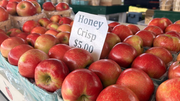 Brace's Orchard sells several varieties of apples at the farmers' market in Scranton.