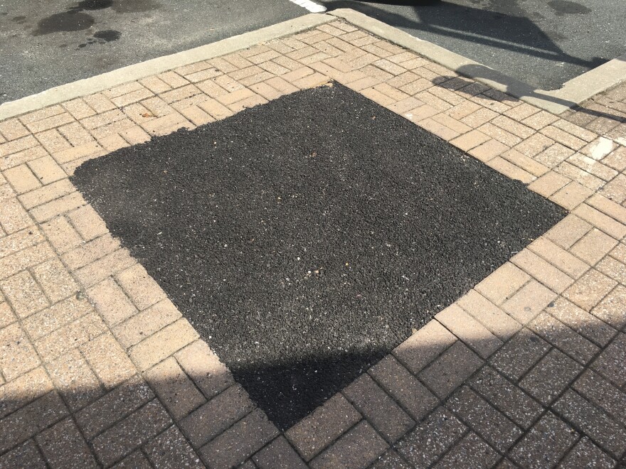 In downtown Essex there is a 'tree box' on the sidewalk where a tree once stood but it has now been covered with asphalt.