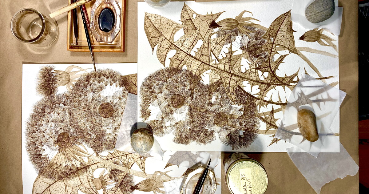 Something Wild: Finding beauty in the overlooked