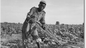A Depression-era sharecropper
