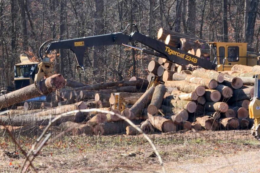 Hamilton Logging is actively harvesting timber from a tract of Yellowwood State Forest.