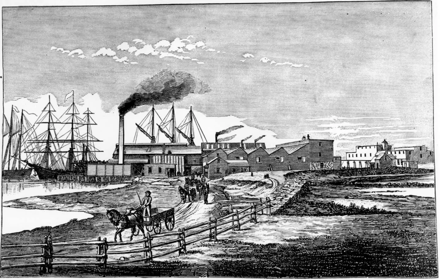 Pacific Guano Co in Woods Hole, 1860s. From the Woods Hole Historical Museum.