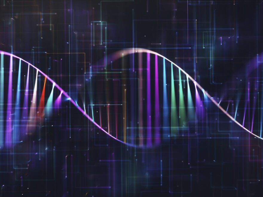 Scientists at the Casey Eye Institute, in Portland, Ore., have have injected a harmless virus containing CRISPR gene-editing instructions inside the retinal cells of a patient with a rare form of genetic blindness.