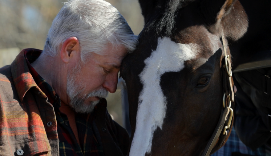 Beachwood Integrative Equine Therapy in Charlestown, RI