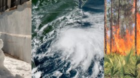 South Carolina 2025 weather rewind