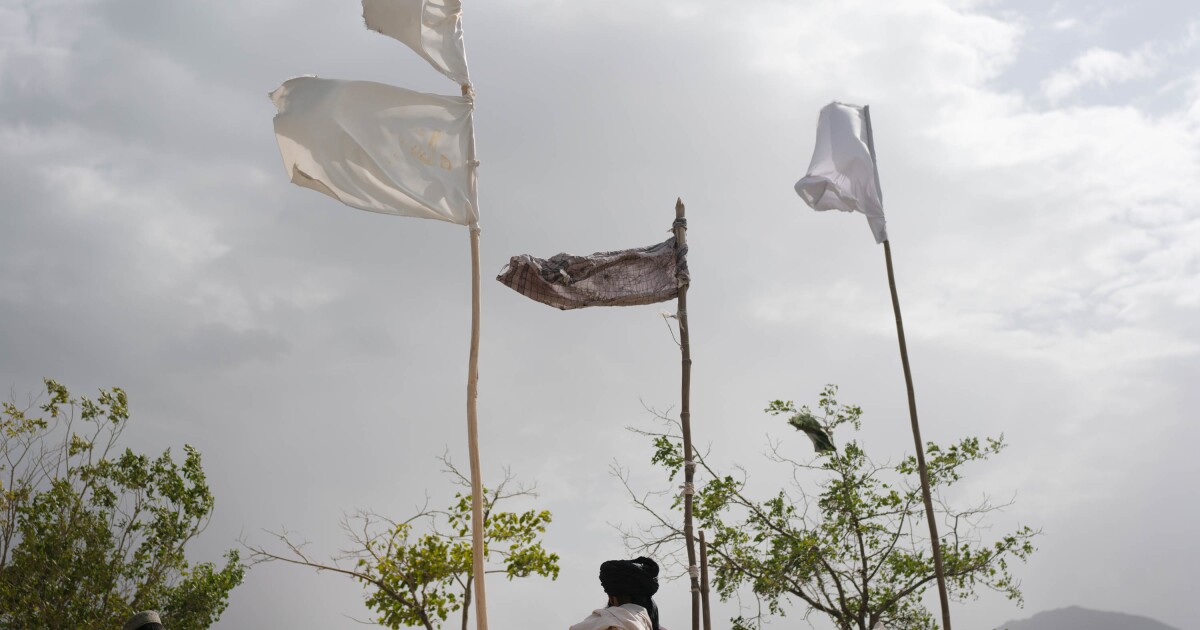 These photos show who is (and isn't) included in the Taliban's Afghanistan