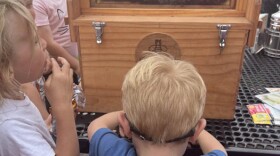 Kids at the event take turns looking at the bees in the hive brought by McBain beekeeper, Rachel Potter.