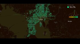 Treepedia screenshot of the areas in Tampa that are lined with trees and green space.