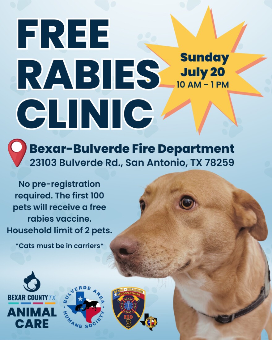 Rabies vaccination flyer