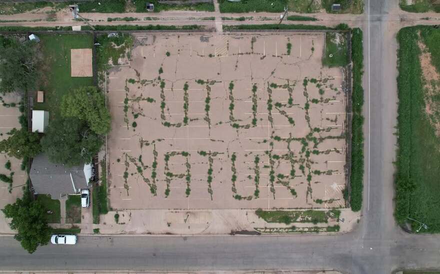 An otherwise empty parking lot on a street corner has plants growing in the cracks that spells out the words 'future nature'.
