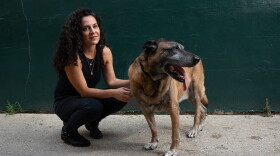 Rebecca Frankel and Dyngo, a retired military working dog who lives with Frankel in Washington, D.C. (Courtesy of Susana Raab)