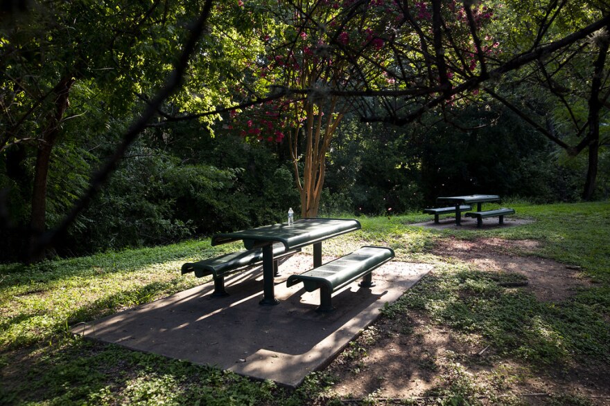 A water bottle sits on a picnic table under trees in a park