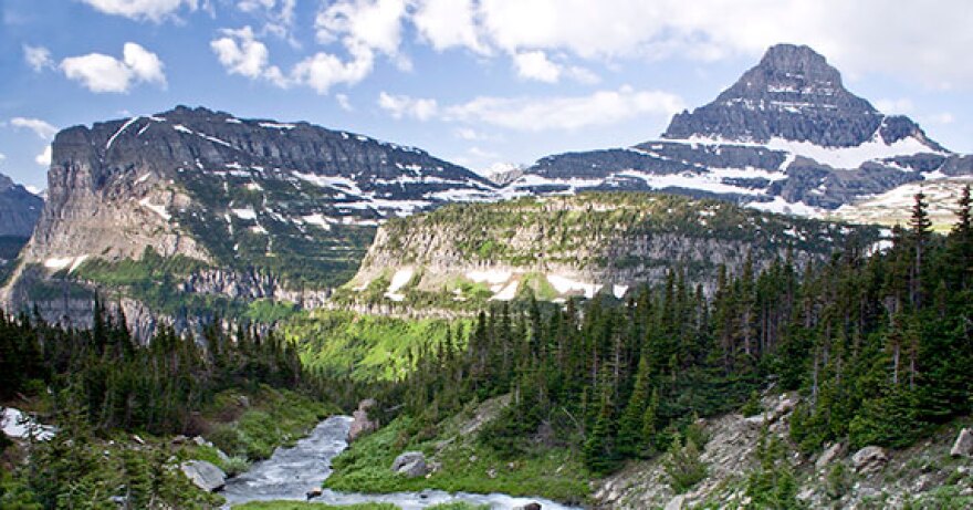 Image - Montana.jpg