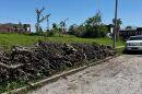St. Louis officials are now asking residents to put tornado debris along the curb, like these residents did on Lee Avenue Sunday, June 8.