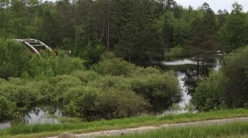 Water floods near the Mesabi Trail crossing between Wynne and Sabin lakes in Biwabik on June 20, 2024.