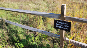 A fenced area with a sign that says "Meadow Restoration Underway"