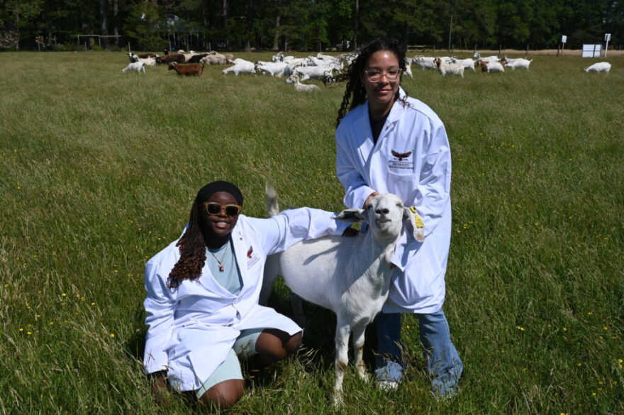 Student vets pose for a picture with a goat