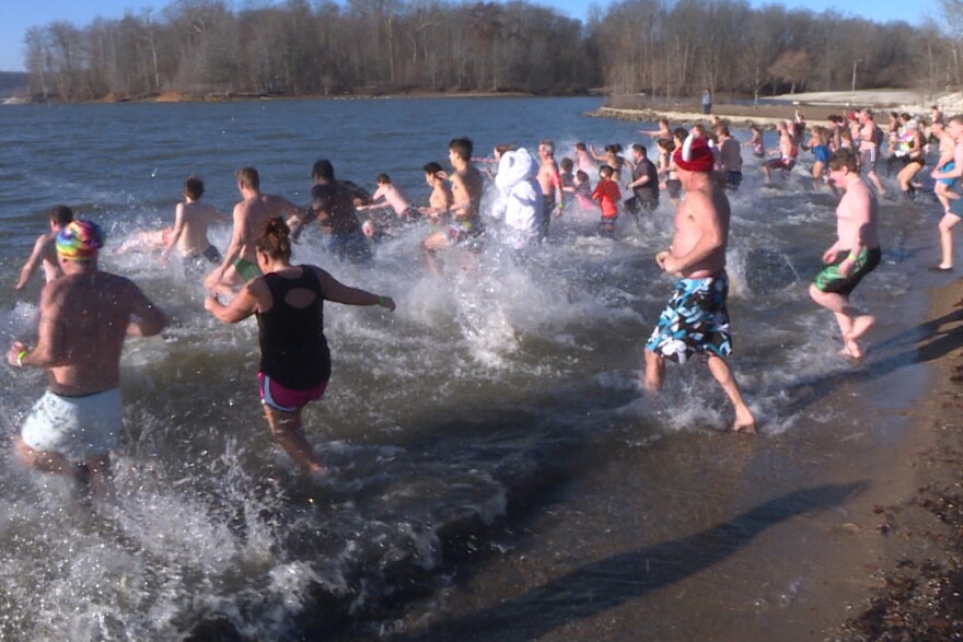Around 10 a.m. a man in a polar bear suit led the plungers screaming and laughing into the waters of Lake Monroe.