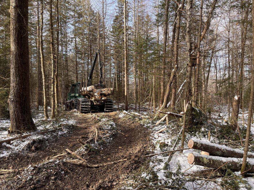 A machine called a forwarder stands in a wooded area, holding cut logs. A dirt path with felled branches is in the foreground.