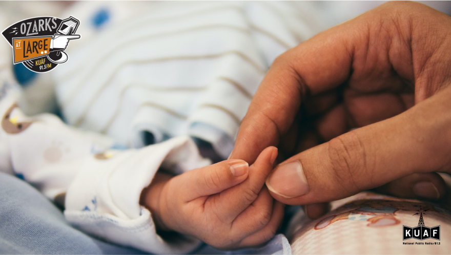 House Bill 1103 looks to provide free healthcare to all newborns in their homes in Arkansas.