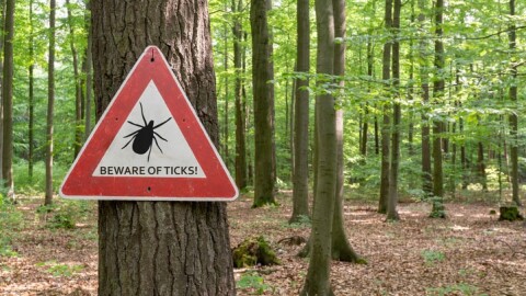 A sign warning hikers to be cautious and keep an eye out for ticks.