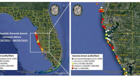 Map of red tide concentrations
