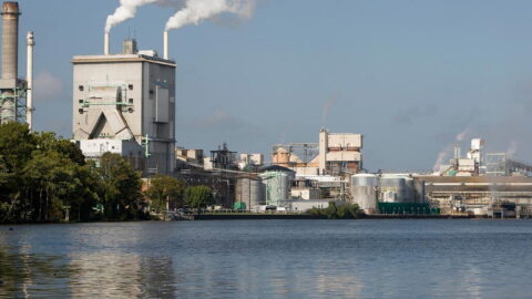 The civil lawsuit against Domtar Paper Company alleges decades of dumping untreated toxins like mercury, furans, and dioxins.