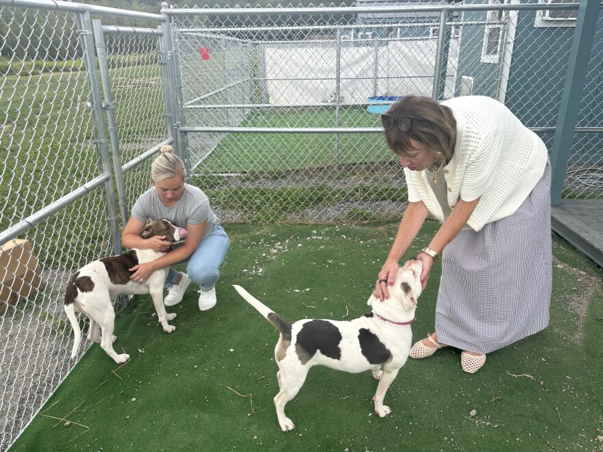 Animal Care Sanctuary's Assistant Executive Director Sami Wyatt, left, and Executive Director Terri McKendry pet dogs at the shelter's new Tiny Home Village. The Bradford County shelter unveiled the village on Aug 5.