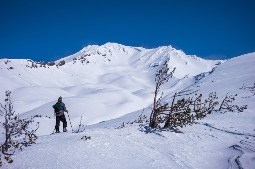 A backcountry skier stands on a snowy ridge on Mount Shasta, looking across a broad alpine basin under a clear blue sky.