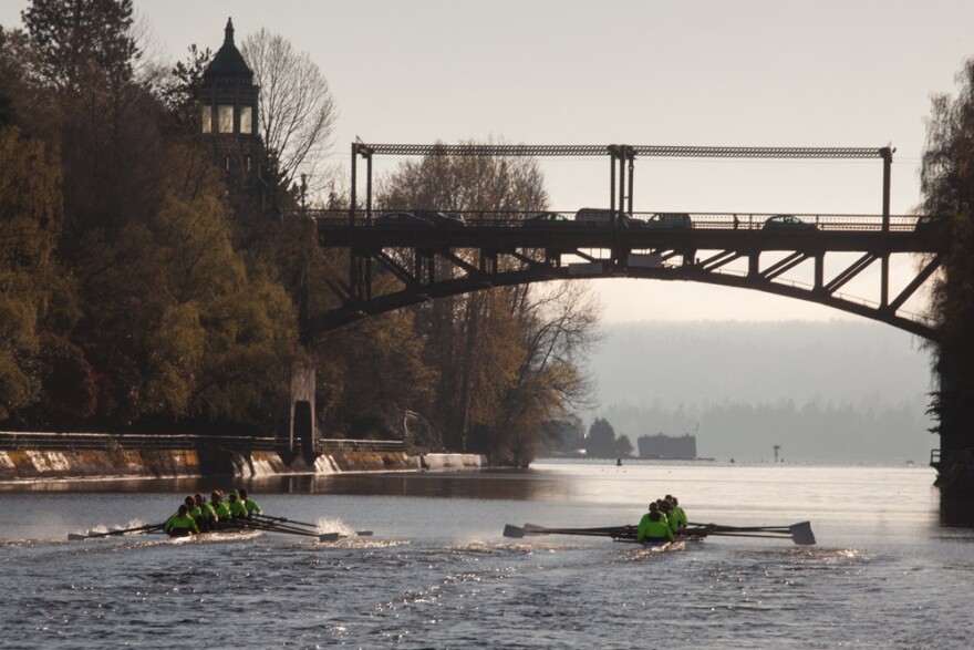 The UW Men's Rowing team practices along the Montlake Cut.