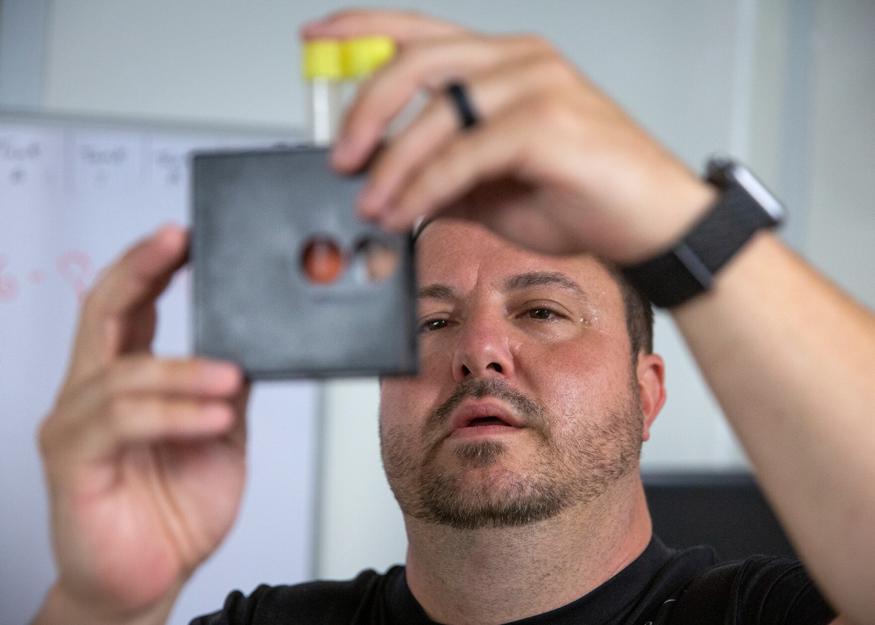 Shrimp in Missouri? These farmers are raising fresh seafood far from ...